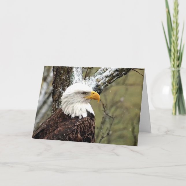 Decorah North Eagles: Beaver Måne Kort (Framsida)