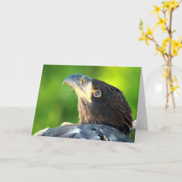 Decorah North Eagles: Flower Måne Kort