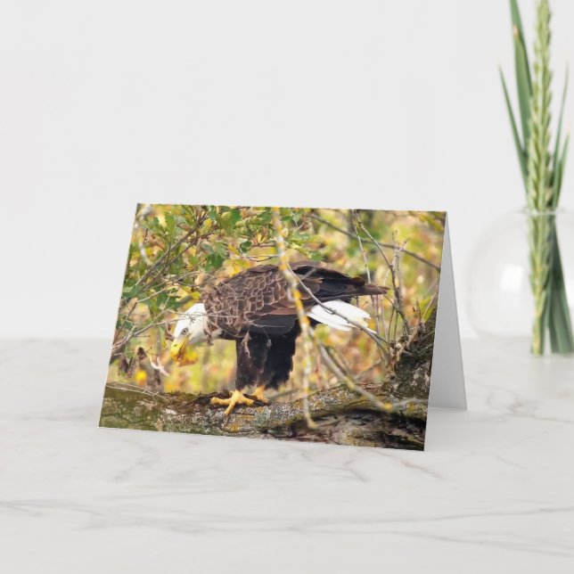 Decorah North Eagles: Harvest Måne Kort (Framsida)