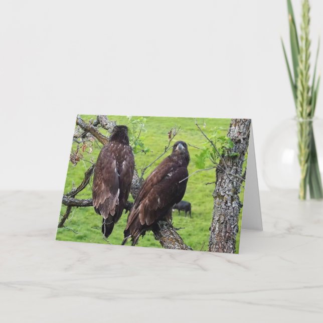 Decorah North Eagles: Jordgubbe Måne Kort (Framsida)