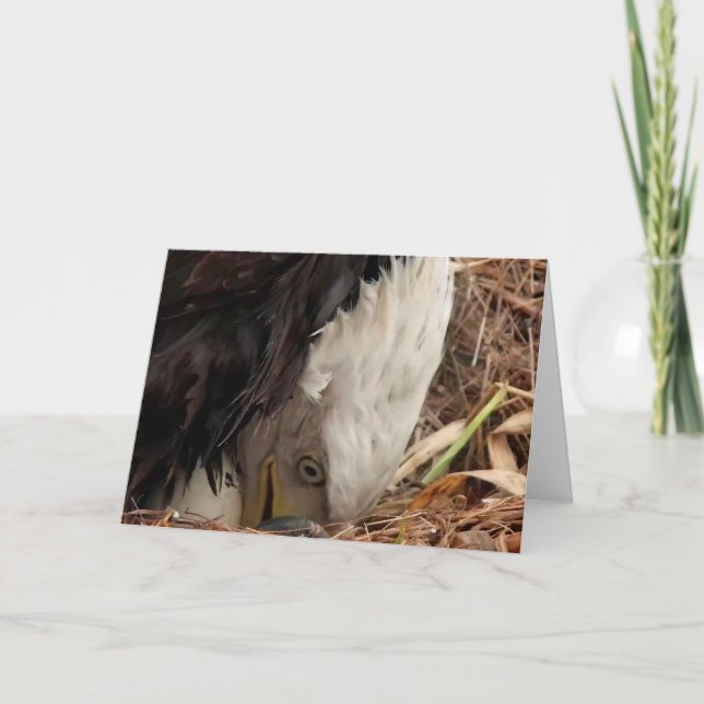 Decorah North Eagles: Mask Måne Kort (Framsida)