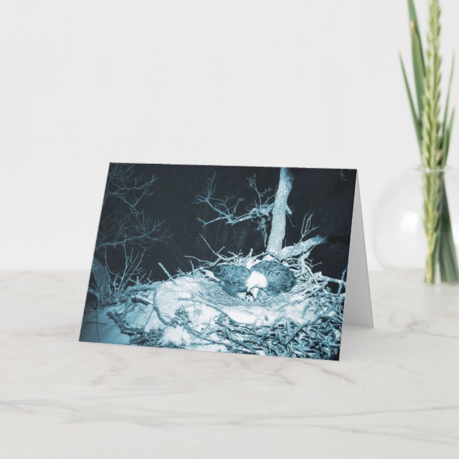 Decorah North Eagles: Snö Måne Kort (Framsida)