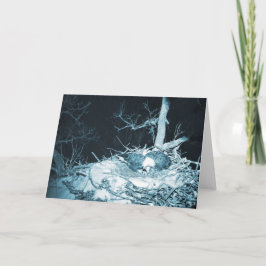 Decorah North Eagles: Snö Måne Kort