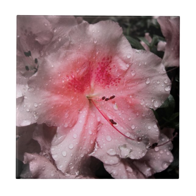 Decorativ panel för inre glöd kakelplatta (Framsidan)