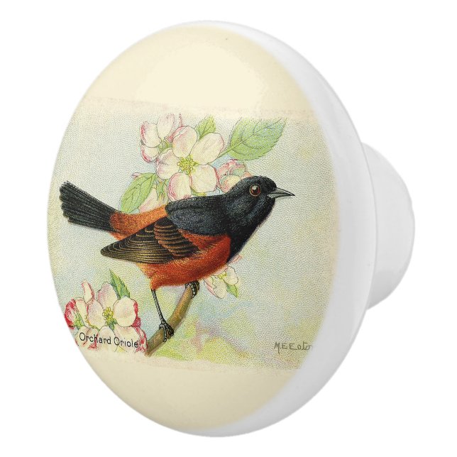 Decorative Orchard Oriole Bird Knopp (Höger)
