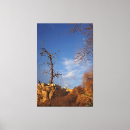 decorative wall art  canvastryck