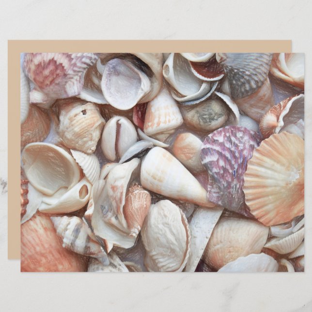 Decoupage för Seashells Sketch Ocean Nautical Beac (Fram/baksida)