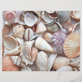 Decoupage för Seashells Sketch Ocean Nautical Beac