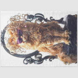 Decoupage Whimsical Glamourous Cat i Salon