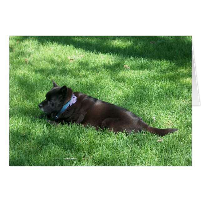 deekie OBS kort (Framsidan Horizontal)