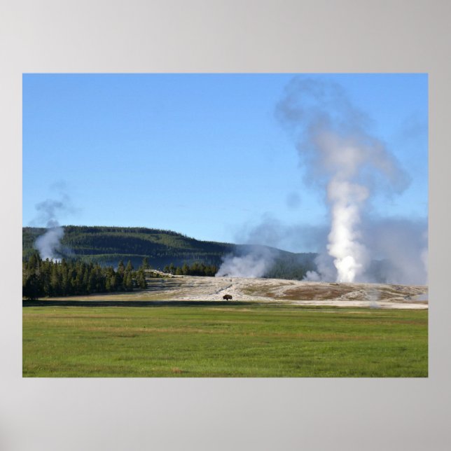 Deep Blue Geyser och bisonoxe vid Yellowstone Poster (Framsidan)