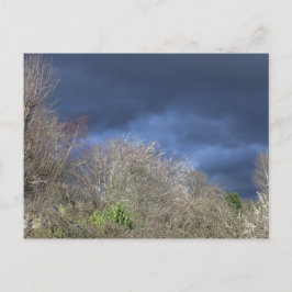 Deep Blue Skyline Vykort