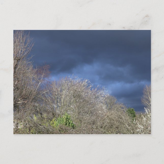 Deep Blue Skyline Vykort (Framsida)