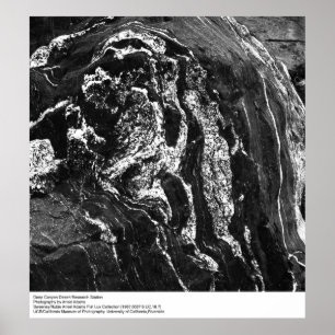 Deep Canyon Desert Research Station av Ansel Adams Poster