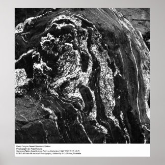 Deep Canyon Desert Research Station av Ansel Adams Poster