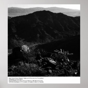 Deep Canyon Desert Research Station av Ansel Adams Poster