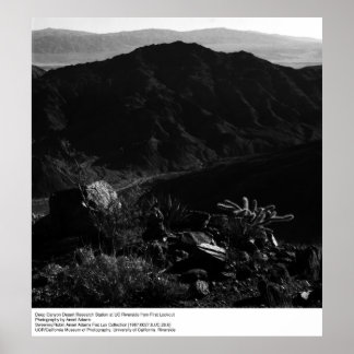 Deep Canyon Desert Research Station av Ansel Adams Poster