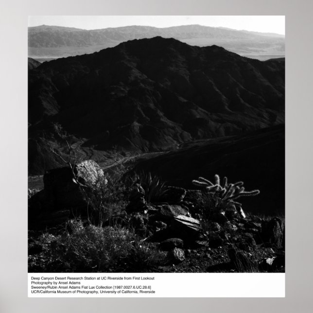 Deep Canyon Desert Research Station av Ansel Adams Poster (Framsidan)