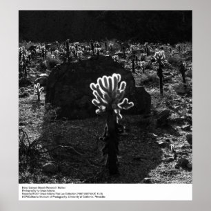 Deep Canyon Desert Research Station av Ansel Adams Poster