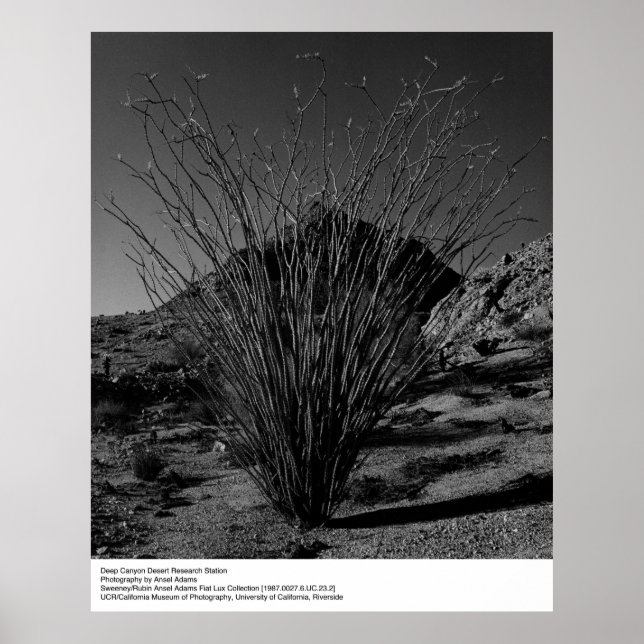 Deep Canyon Desert Research Station av Ansel Adams Poster (Framsidan)