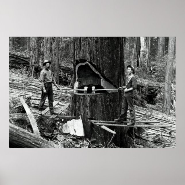 DEEP FOREST LUMBERJACKS c. 1890 Poster (Framsidan)