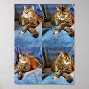 DEEP I TANKE KATTUNGE POSTER