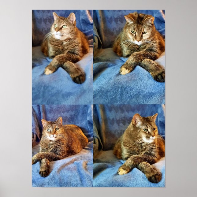 DEEP I TANKE KATTUNGE POSTER (Framsidan)