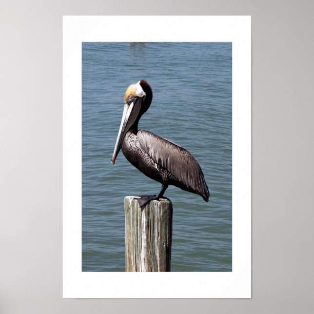 Deep in Think Poster (Framsidan)