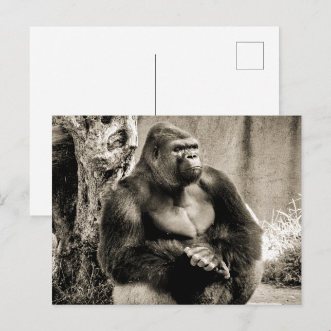 DEEP IN THOUTHOUTE Postcard Vykort (Fram/baksida)