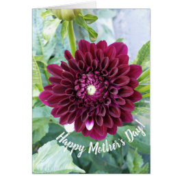 Deep Lila Dahlia Flower Mors dag Card Hälsningskort