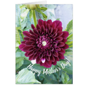 Deep Lila Dahlia Flower Mors dag Card Hälsningskort