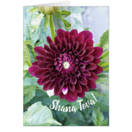 Deep Lila Dahlia Flower Rosh Hashanah Card Hälsningskort