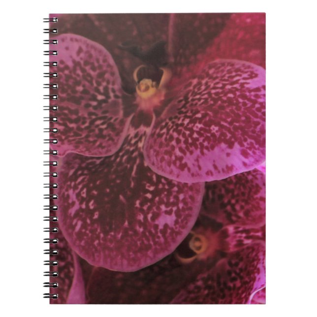 Deep Lila Orchid Spiral Notebook III Anteckningsbok Med Spiral (Framsidan)