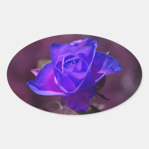 Deep Lila Ro Sticker Ovalt Klistermärke