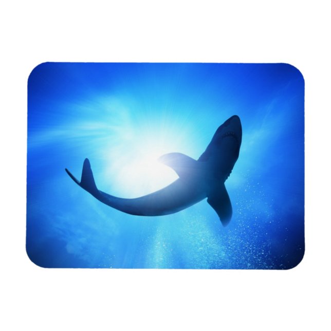 Deep Ocean Shark Silhouette Magnet (Horisontell)