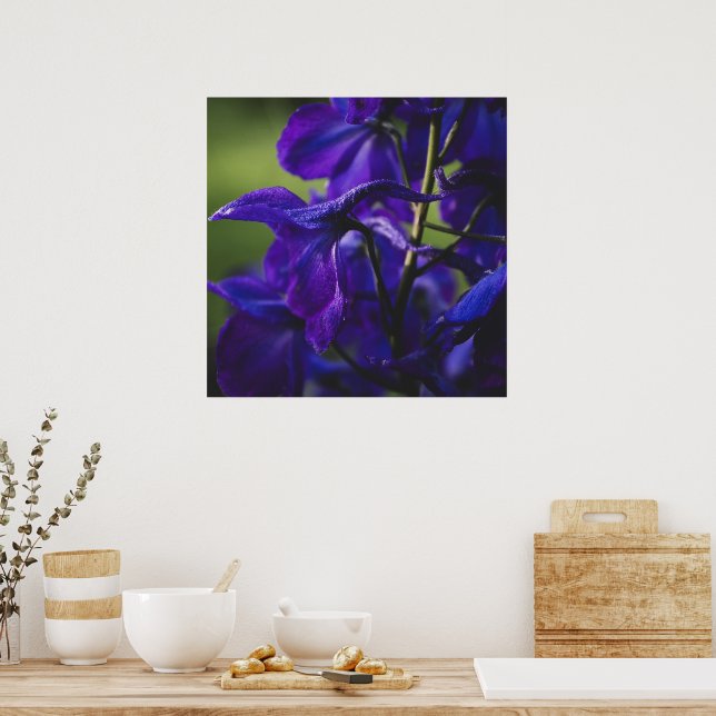Deep Purple Delphinium Close Up Poster (Kök)