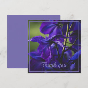 Deep Purple Delphinium Close Up Tack Kort