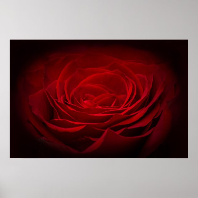 Deep Red Blood Ro on Black Poster (Framsidan)