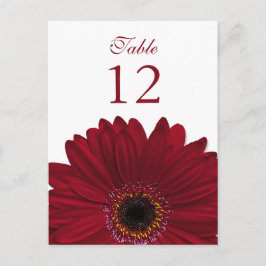 Deep Red Gerbera Daisy Bordsnummer Card - platta
