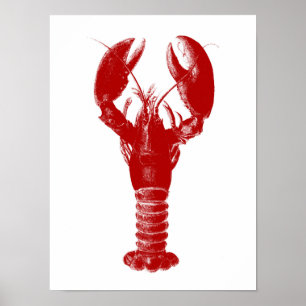 Deep Red Lobster på White Poster