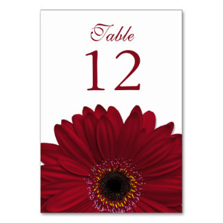 Deep Red White Gerbera Daisy Bröllop Bordsnummer