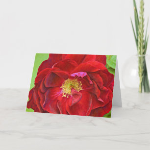 Deep Röd ros Art Note Card Kort