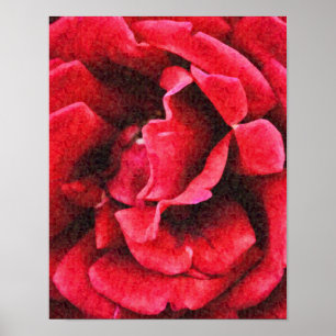 Deep Röd ros Photographic Art Print Poster