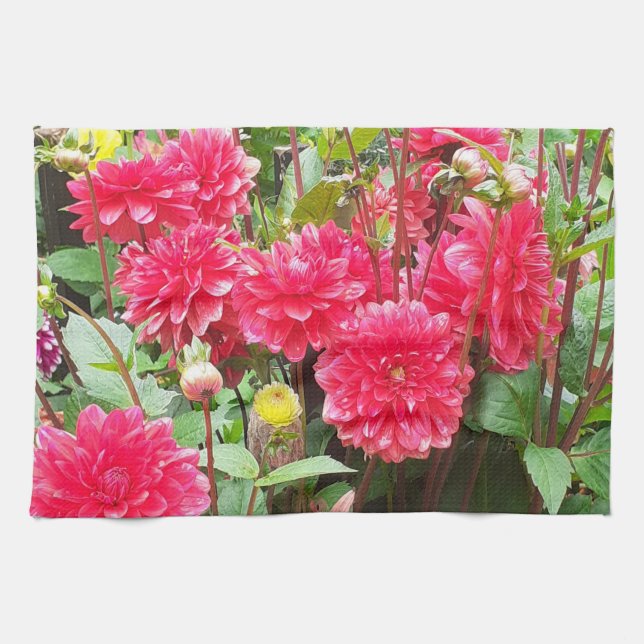 Deep Rosa Dahlias Tea Towel Kökshandduk (Horisontell)