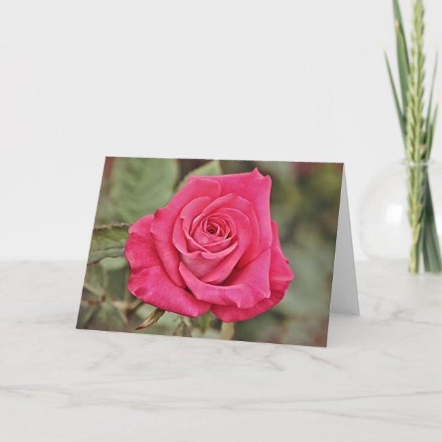 Deep Rosa ros Art Card Kort (Framsida)