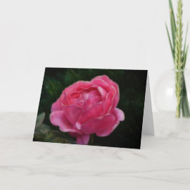 Deep Rosa ros Dramatic Art Note Card Kort