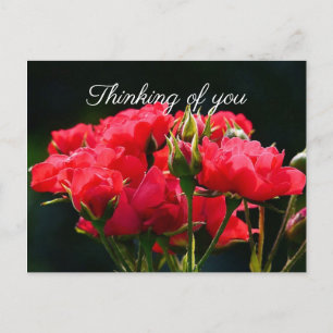 Deep Rosa ros, "Thinking of You" Vykort