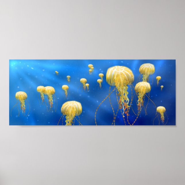Deep Sea Treasures Poster (Framsidan)