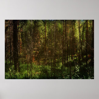 Deep Siberia 2 Poster