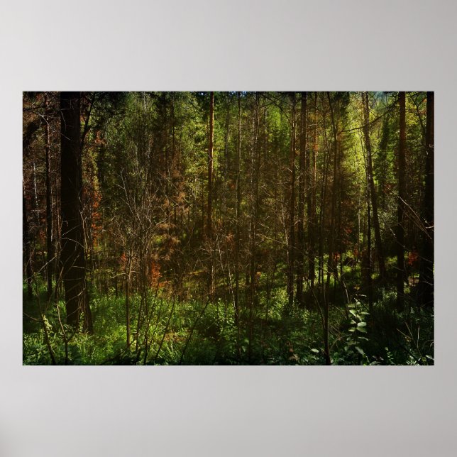Deep Siberia 2 Poster (Framsidan)